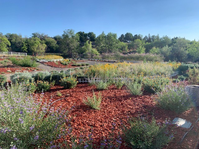 picture of the garden